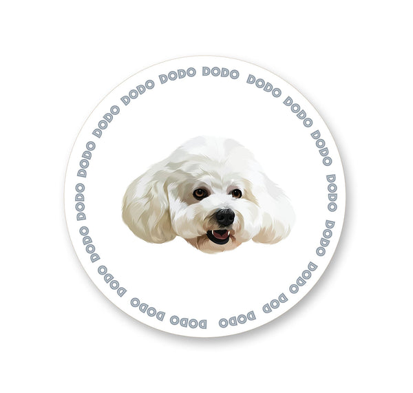 Custom blue pet rug with personalized cartoon portrait and circular name. Unique gift for any animal lovers.