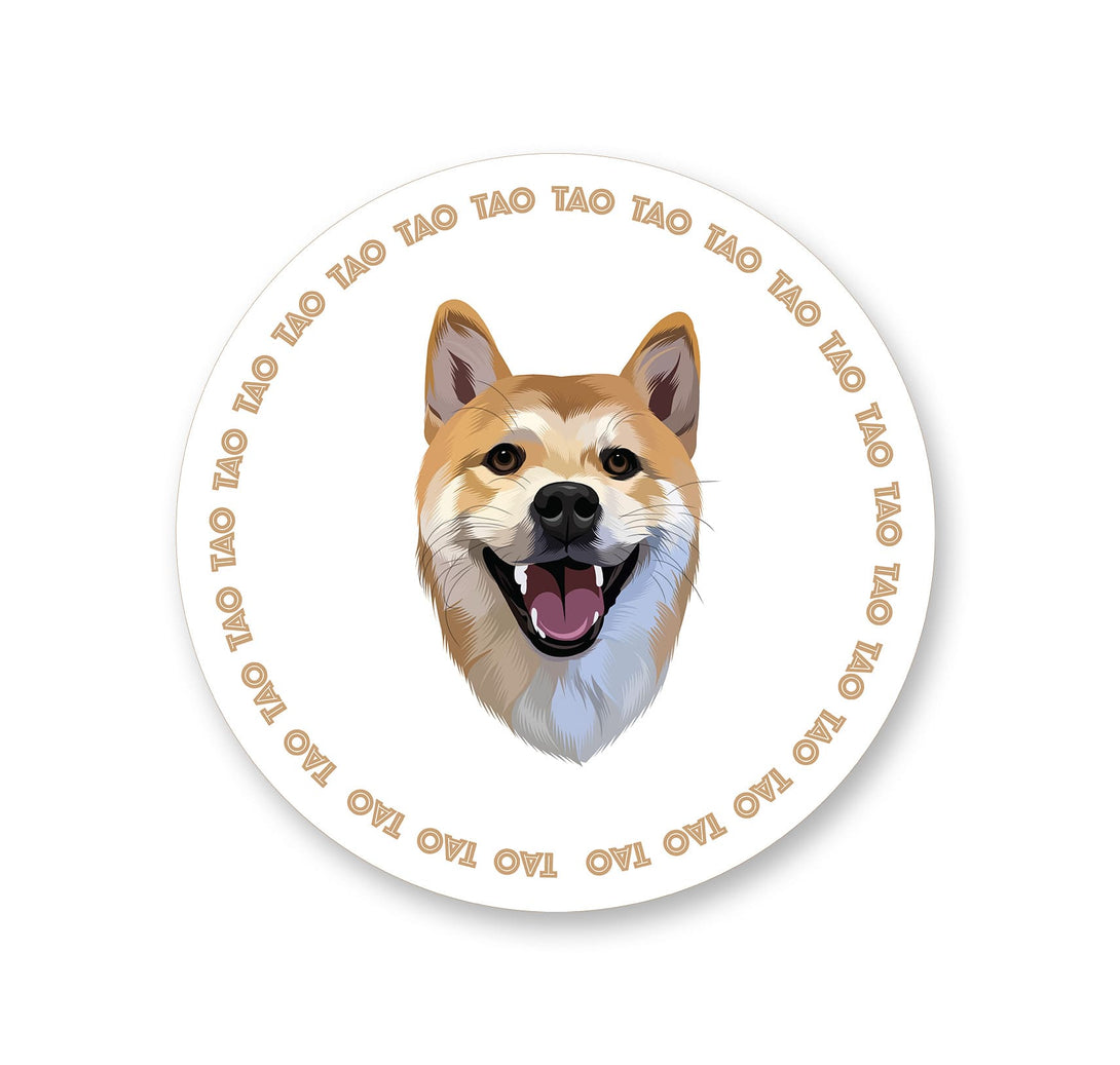 Custom brown pet rug with personalized cartoon portrait and circular name. Unique gift for any animal lovers